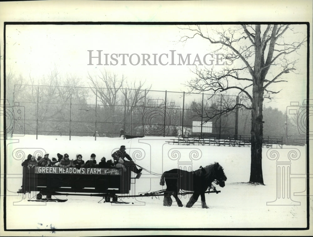 1984 Press Photo Old Fashioned Sleigh Ride at Brookfield&#39;s Winter Carnival- Historic Images