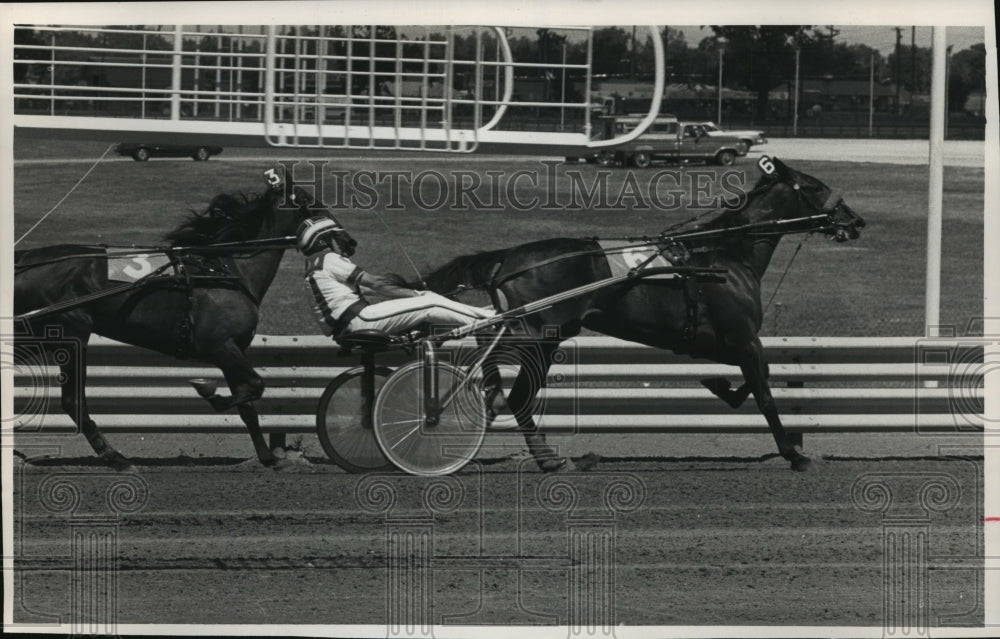 1989 Press Photo Hoosiers Like Harness Racing and have Permanent Track Indiana - Historic Images