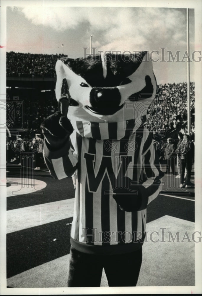 1993 Press Photo Bucky Badger- Historic Images