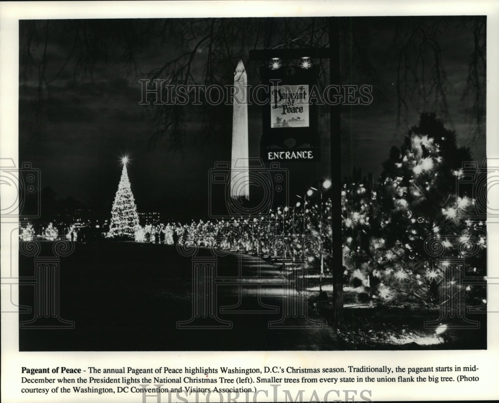 1991 Press Photo The National Christmas Tree at the Nation&#39;s Capitol, Wash., D.C- Historic Images