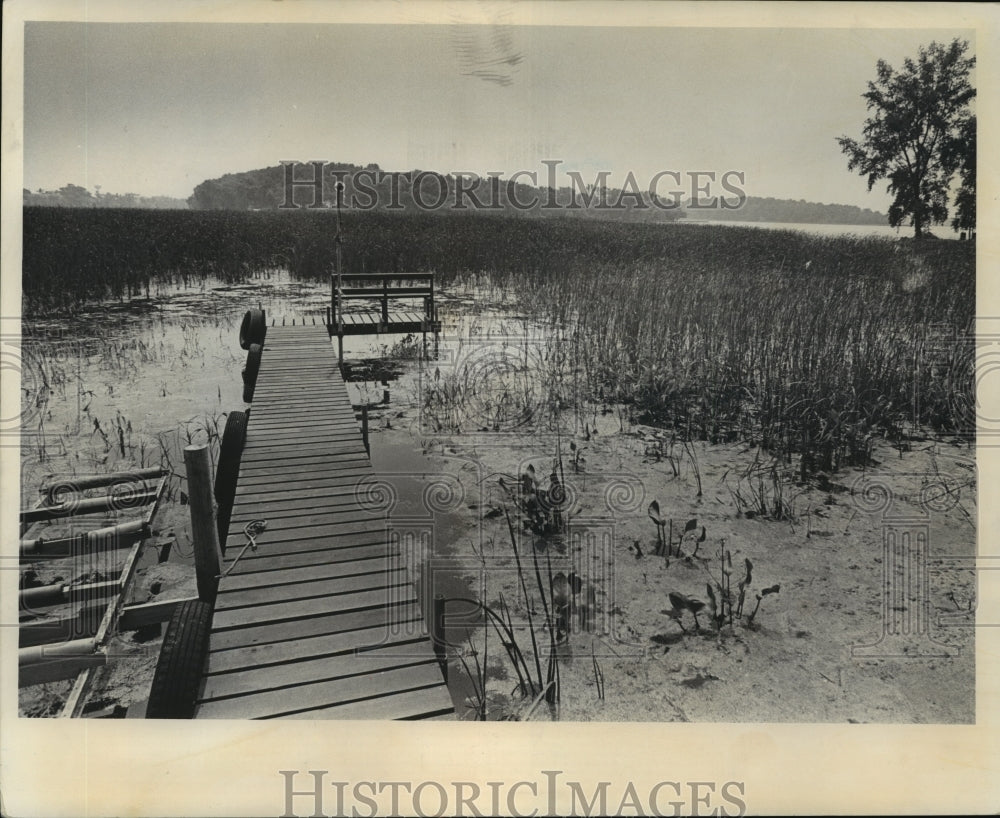 1974 Press Photo Lake Sinissippi That Wisconsin DNR Drained to Kill Carp- Historic Images