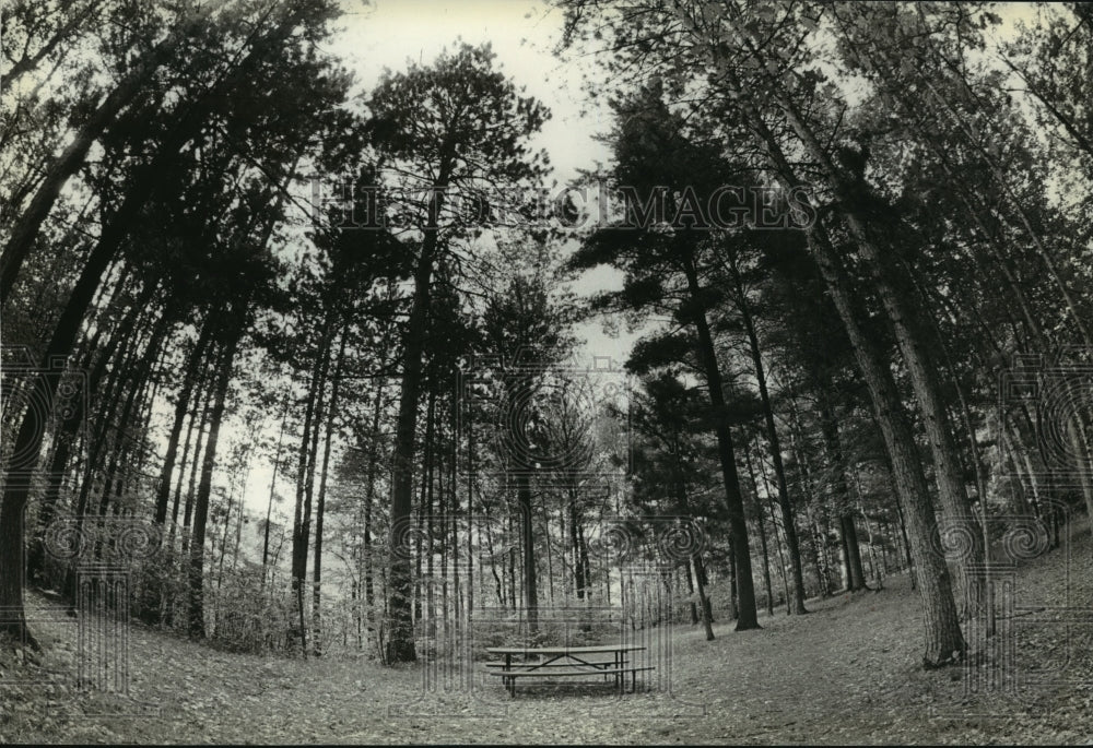 1981 Press Photo Picnic Table in Lucius Woods State Park, Wisconsin- Historic Images