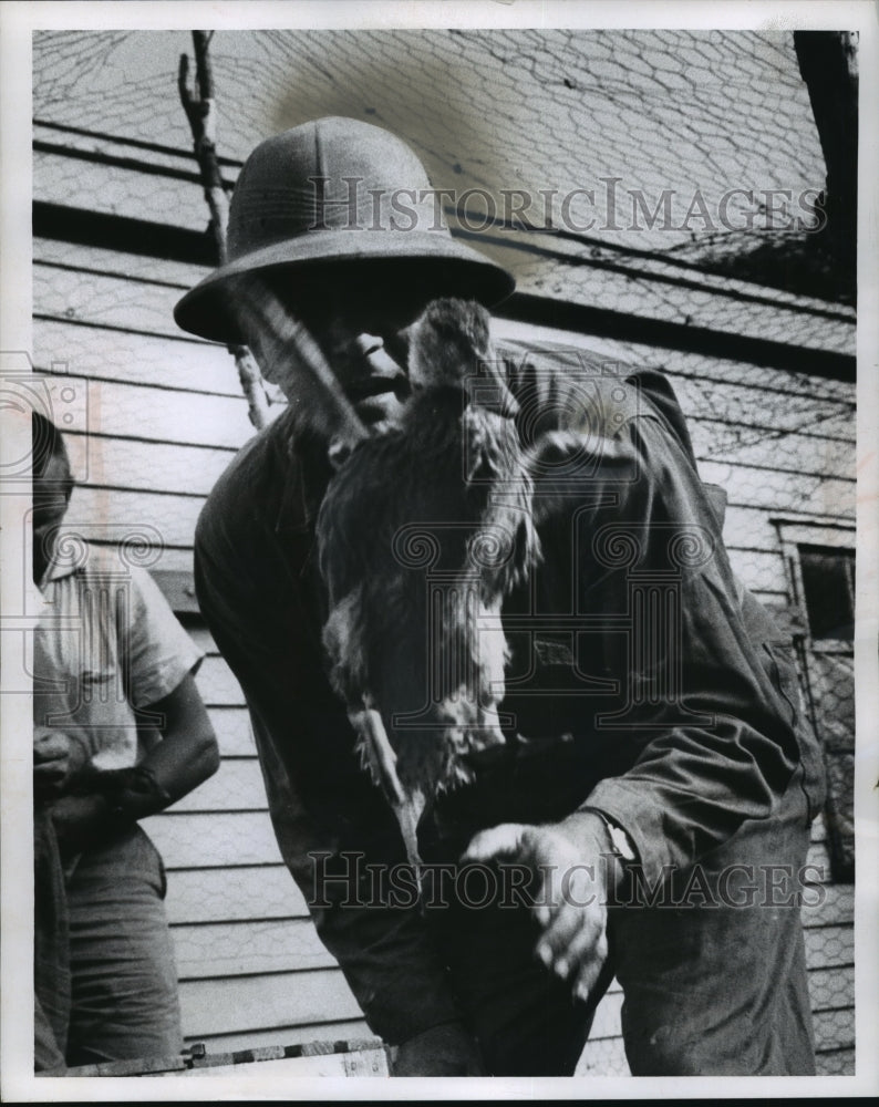 1959 Press Photo Eric B. Lawson Federal Refuge Manager Releasing Young Mallard- Historic Images