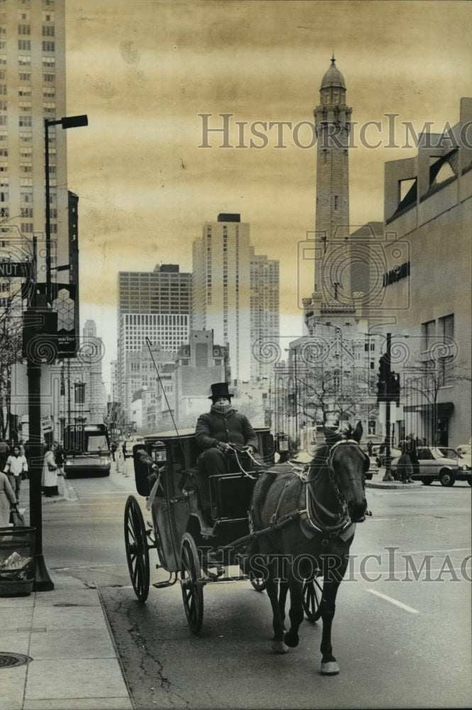 1983 Press Photo Horse-Drawn Carriage in Chicago, Illinois- Historic Images