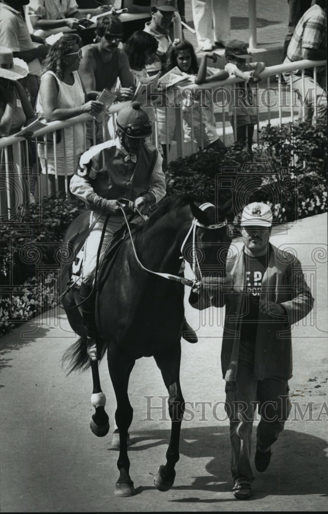 1989 Press Photo Horse &amp; Jockey on the Paddock at Arlington, Illinois Racetrack- Historic Images