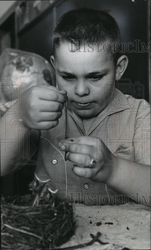 1961 Press Photo Wayne Gietzen Feeding Worm to Robins, Neeskara School- Historic Images