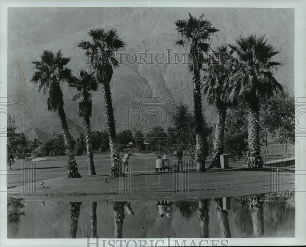 1982 Press Photo Palm trees on one of Palm Springs' 40 golf courses.- Historic Images