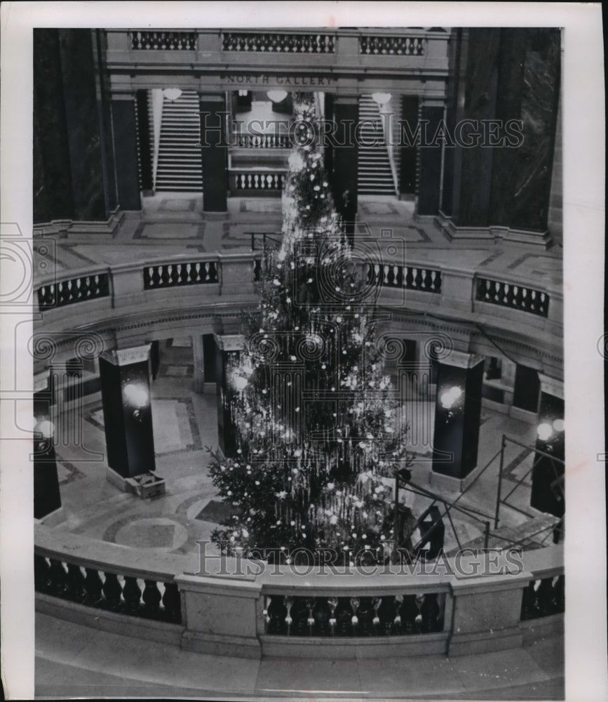 1962 Press Photo 35-ft tree from Marinette county in Madison&#39;s capitol rotunda - Historic Images