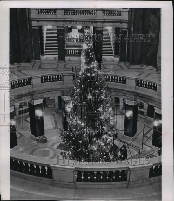 1962 Press Photo 35-ft tree from Marinette county in Madison's capitol ...