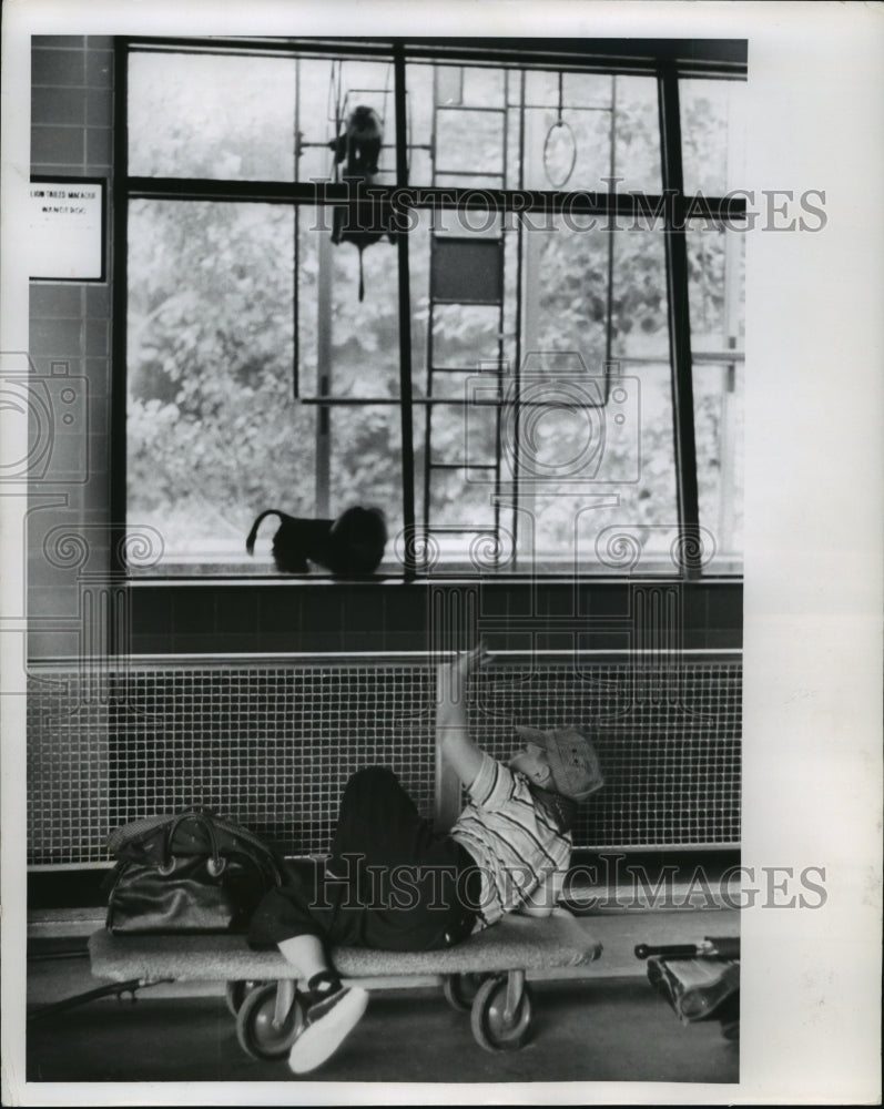 Load image into Gallery viewer, 1960 Press Photo Dana Lange From Happy Ticker Club At New Zoo - mja68059
