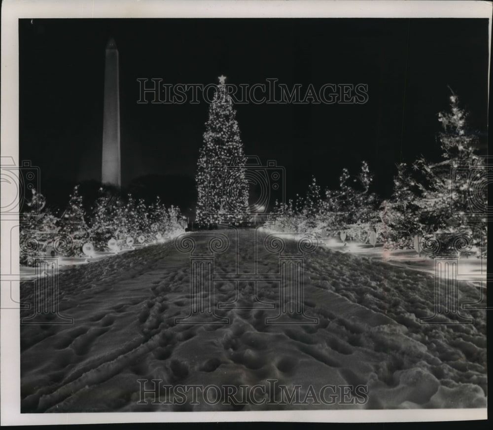 1962 Press Photo Footprints In The Snow On The Avenue Of Nations Leading To Tree- Historic Images
