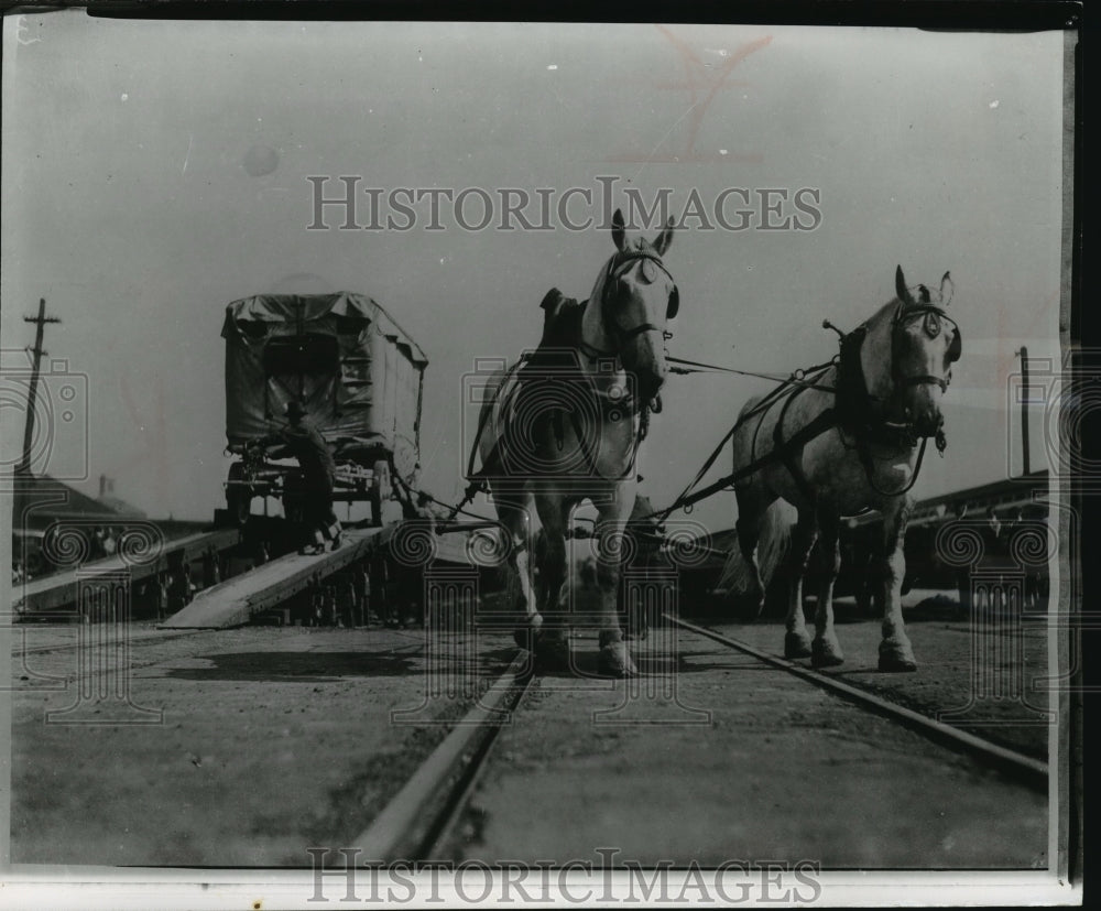 1956 Press Photo &quot;Pull Over&quot; and &quot;Pull Away&quot; Horse Teams Over The Railroad- Historic Images