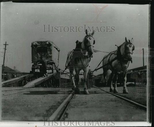1956 Press Photo "Pull Over" and "Pull Away" Horse Teams Over The Railroad- Historic Images