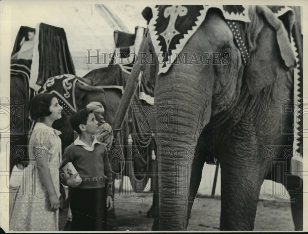 1934 Press Photo Old Circus Elephant in Los Angeles, California - mja69123- Historic Images