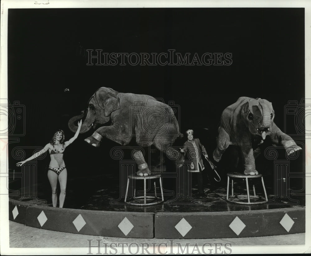 1974 Press Photo Hawthorne&#39;s performing circus elephants in the center ring- Historic Images