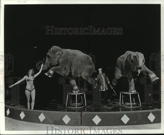 1974 Press Photo Hawthorne's performing circus elephants in the center ring- Historic Images
