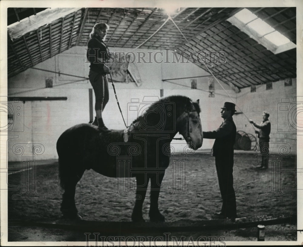 1967 Press Photo Mrs. Mary Herriott training a Percheron for bareback riding- Historic Images