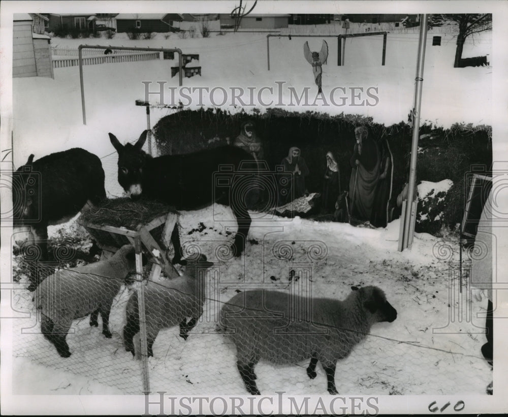 1961 Press Photo Willard Van Handel Outdoor Nativity Scene, Little Chute- Historic Images