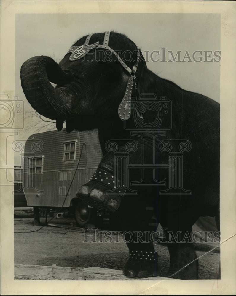 1960 Press Photo - mja70121