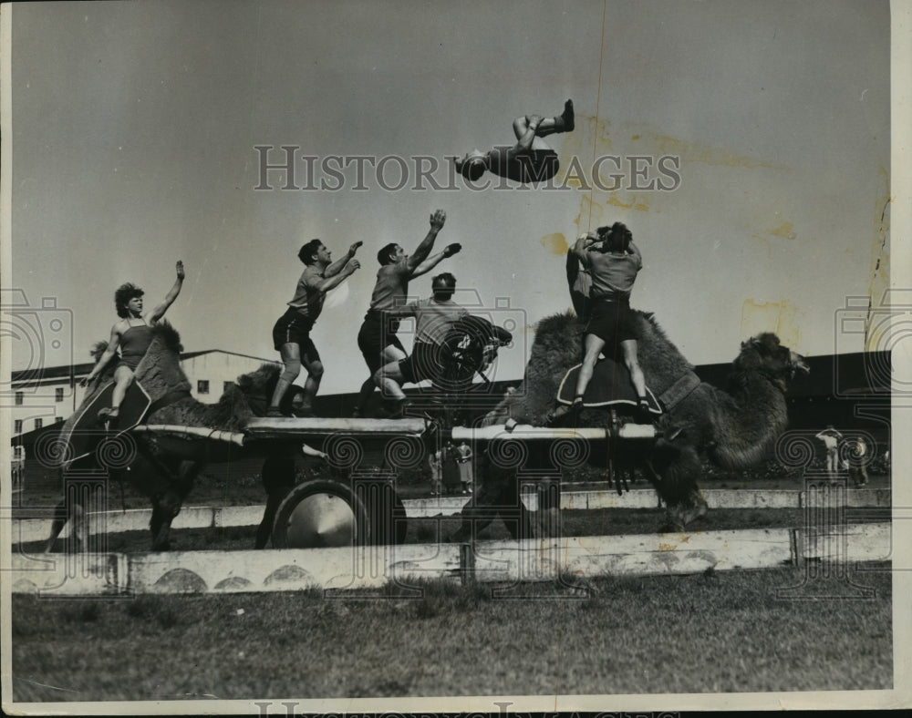 1971 Press Photo The Klosses family Christmas card with camels and acrobats - Historic Images