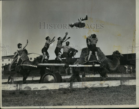 1971 Press Photo The Klosses family Christmas card with camels and acrobats - Historic Images