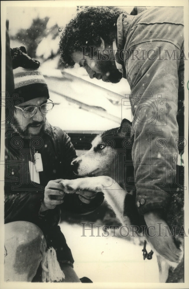 1987 Press Photo Stuart Stevens, veterinarian, checked between the pads of husky- Historic Images