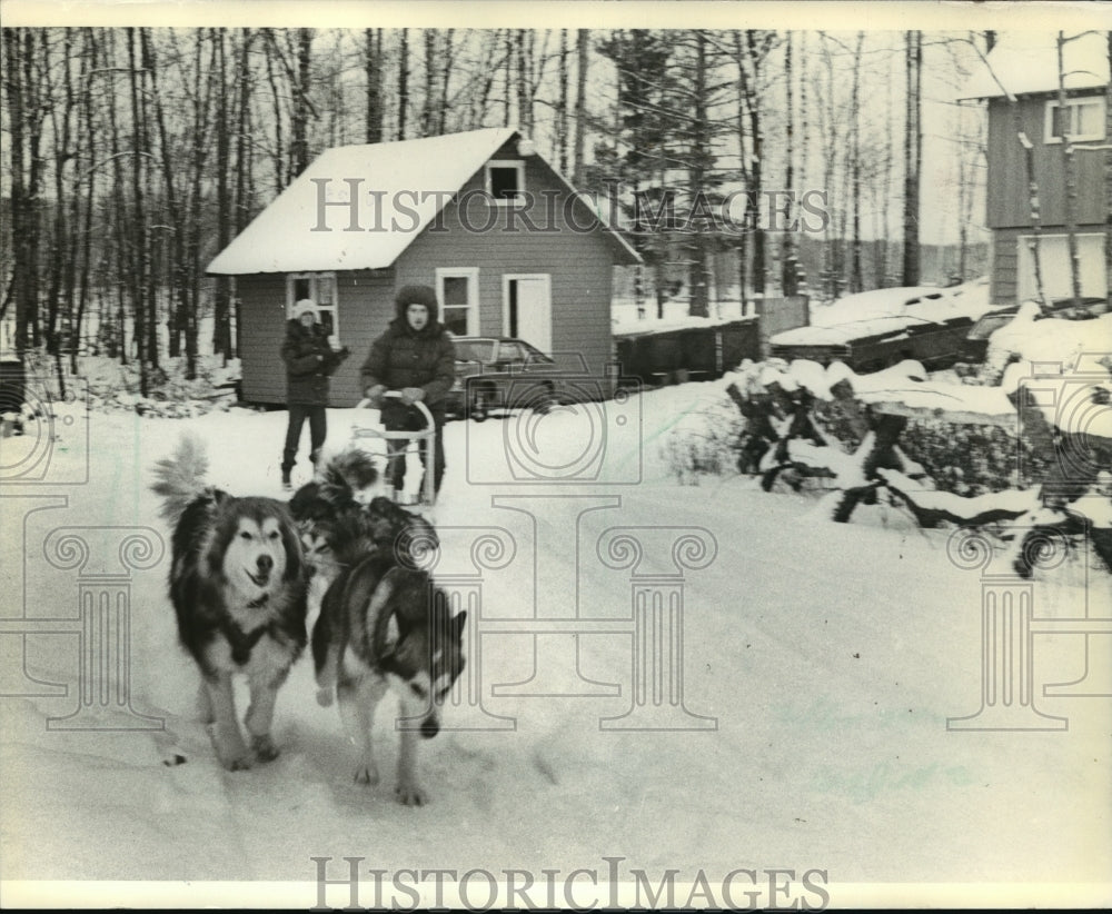 1981 Press Photo Bill Nelli Took His Dogs on a Run in Eagle River - mja75141- Historic Images