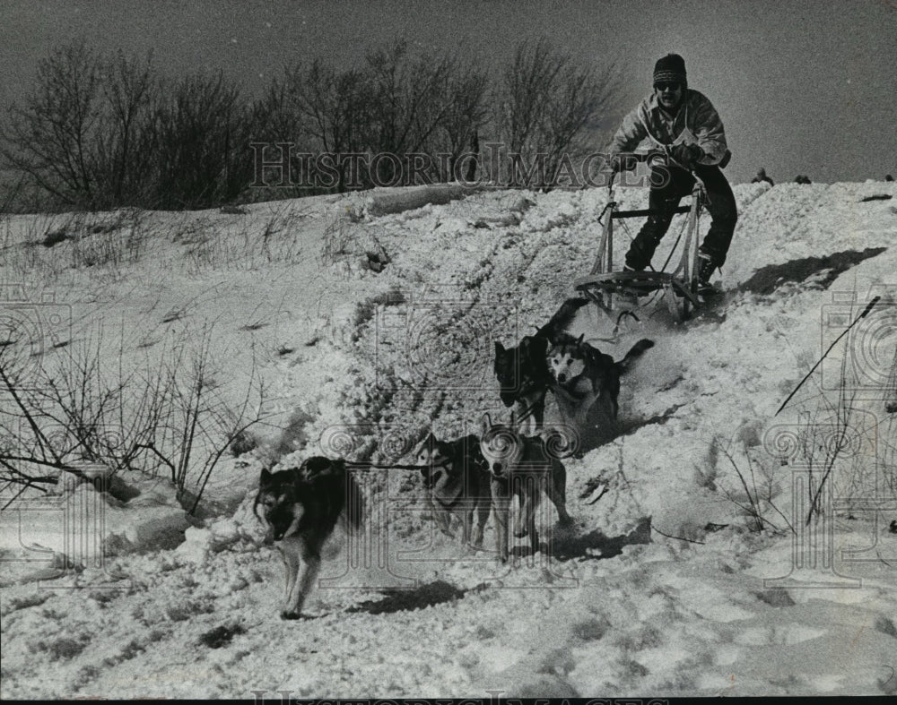 1975 Press Photo Annual dog sled races at Green Lake, Wisconsin- Historic Images