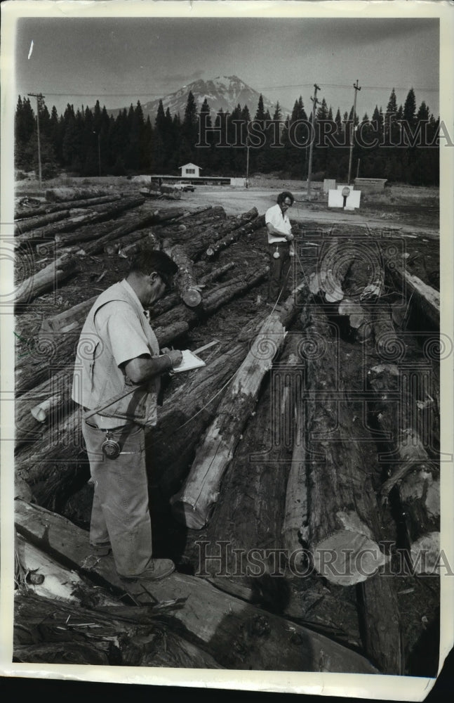  Press Photo Larry Smith and Ted Botsford measure logs in California- Historic Images