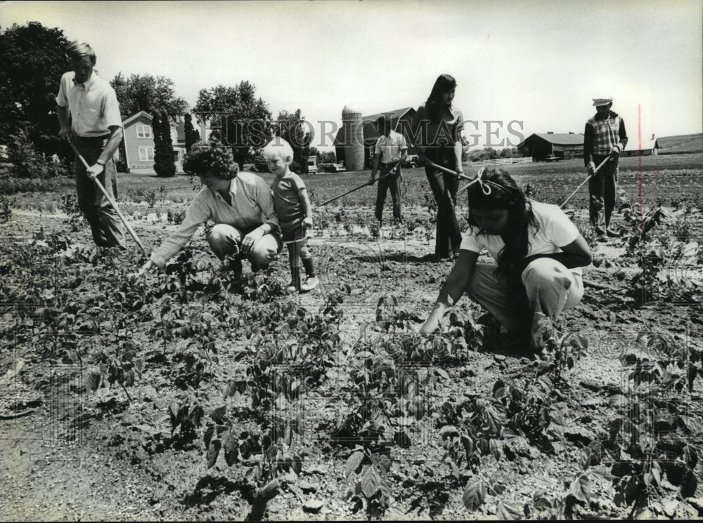 1980 Press Photo Cambodian refugees weed with Watson family on farm in Wisconsin- Historic Images