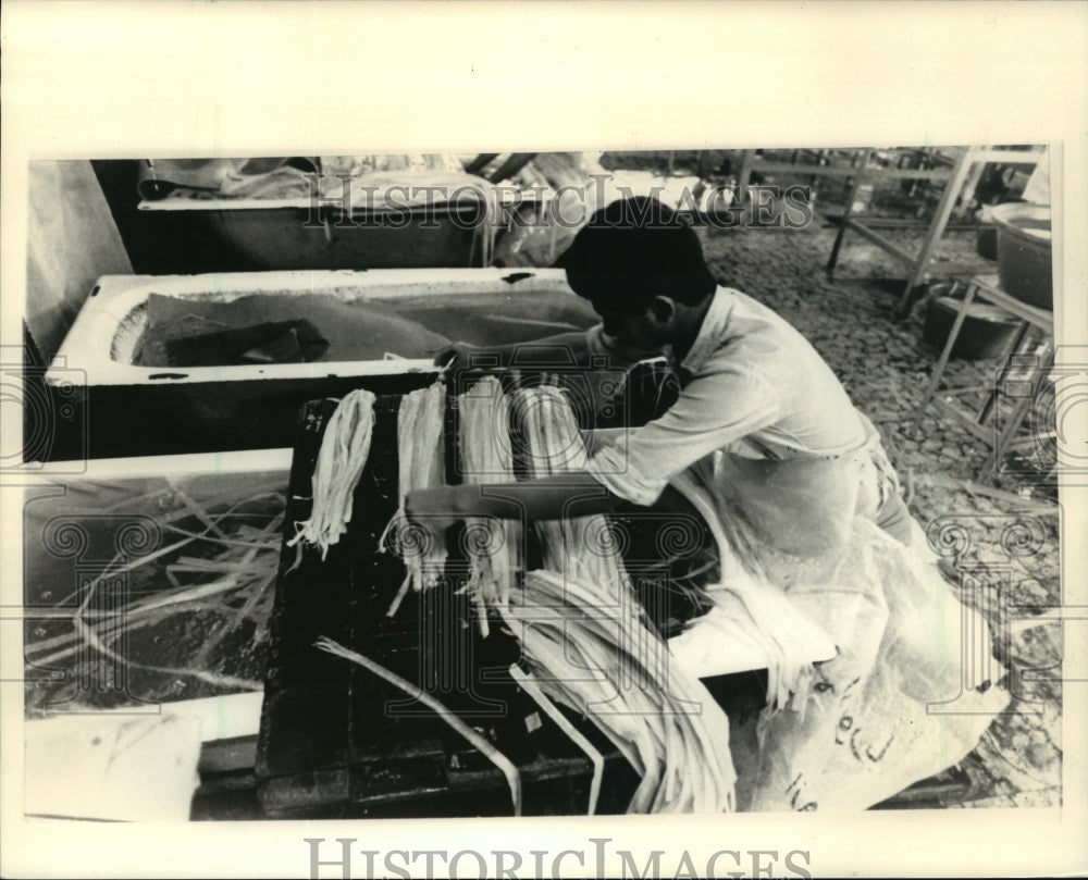 1984 Press Photo Papyrus Strips Sorted for Paper-Making in Egypt- Historic Images