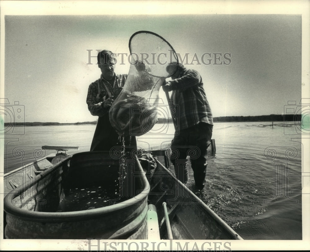 1987 Press Photo brothers Larry &amp; Scott Harris release a net full of walleyes- Historic Images