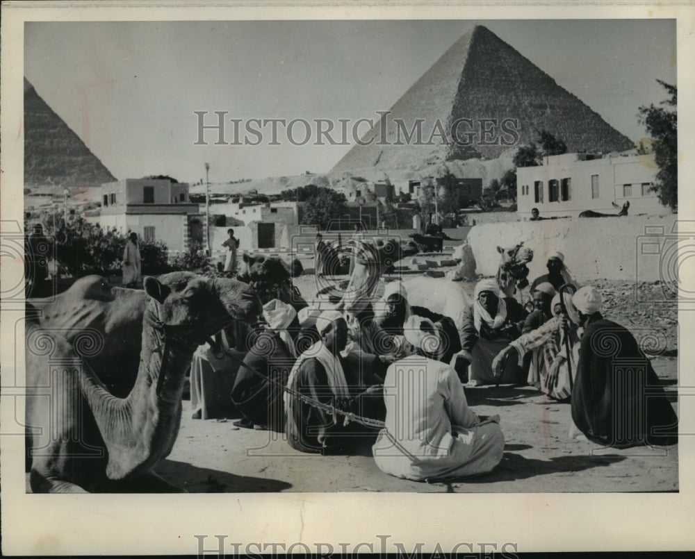 1963 Press Photo Egyptian Drivers and their Beasts - mja86474- Historic Images
