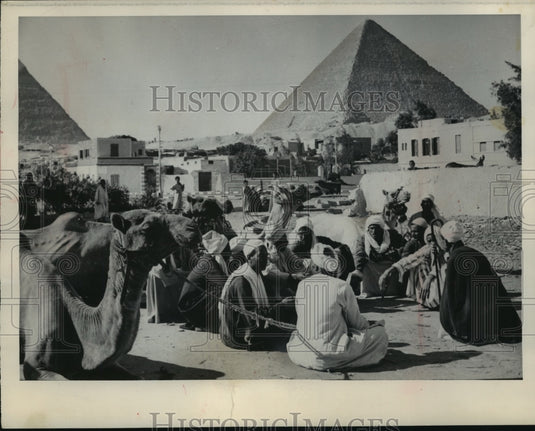 1963 Press Photo Egyptian Drivers and their Beasts - mja86474- Historic Images