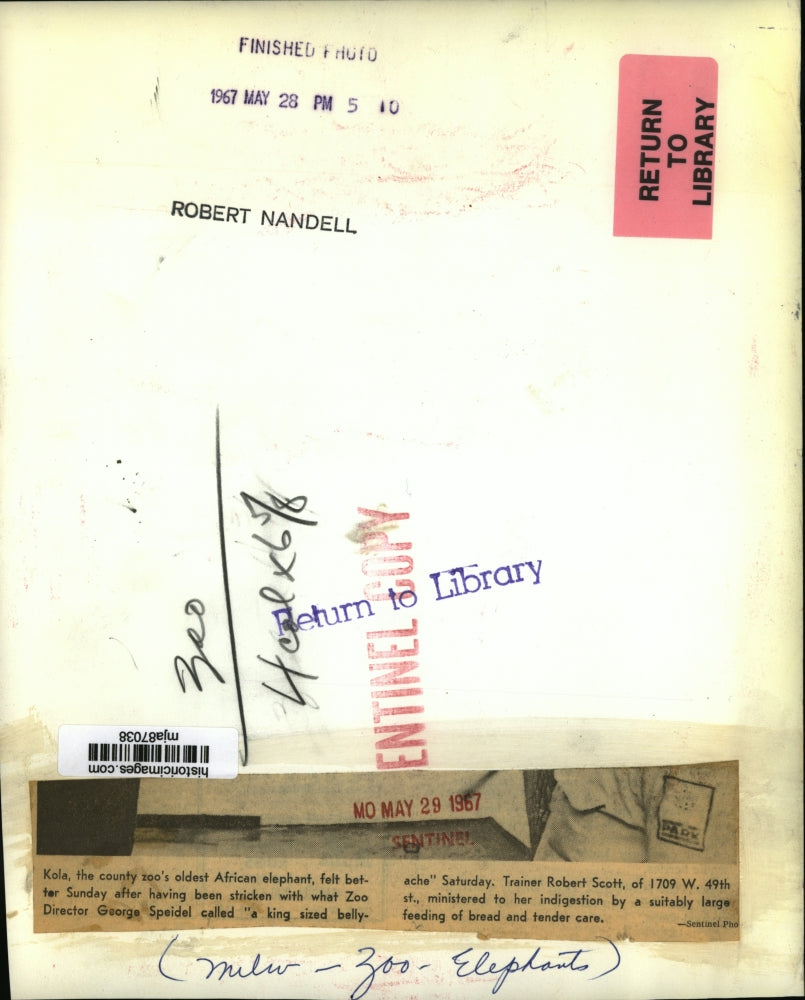 1967 Press Photo Milwaukee Zoo director George Speidel with Kola oldest Elephant