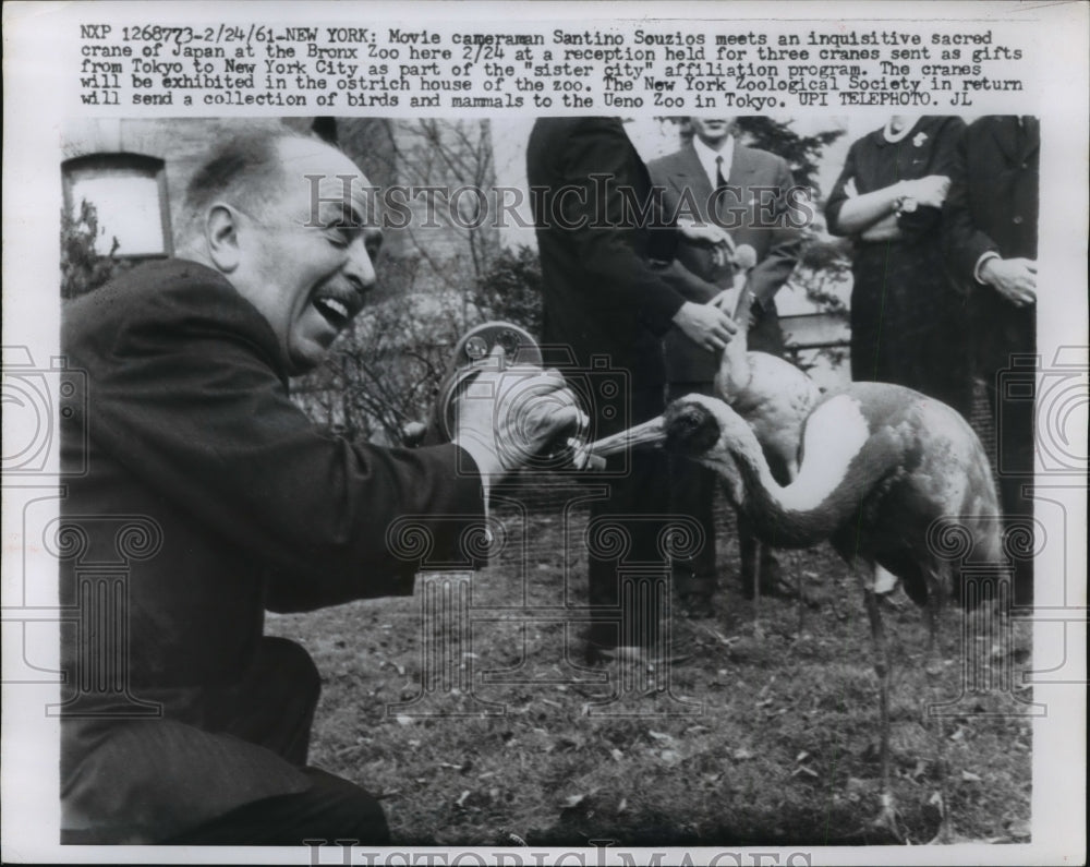 1961 Press Photo Santino Souzios with Japanese Crane at Bronx Zoo, New York City- Historic Images