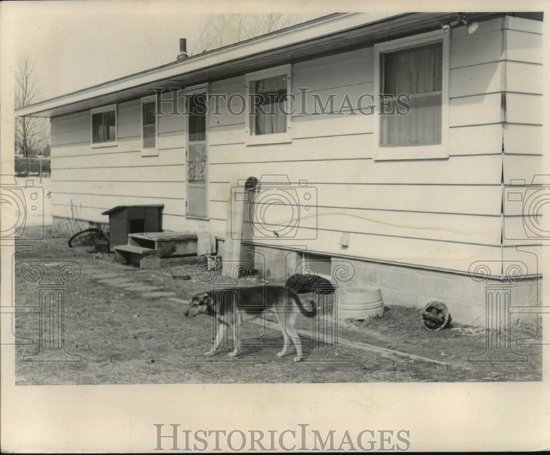 Load image into Gallery viewer, 1968 Press Photo Rear Entrance of Gustafson Home - mja91120
