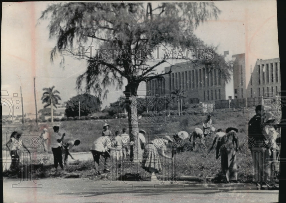 1962 Press Photo Cuban citizens clearing plots of land to increase food supply- Historic Images