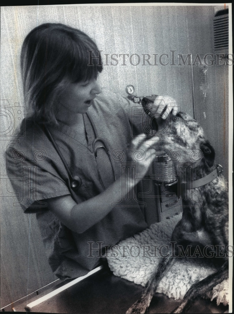 1994 Press Photo Rebecca McCracken Examines Her Greyhound Companion &quot;Stretch&quot;- Historic Images