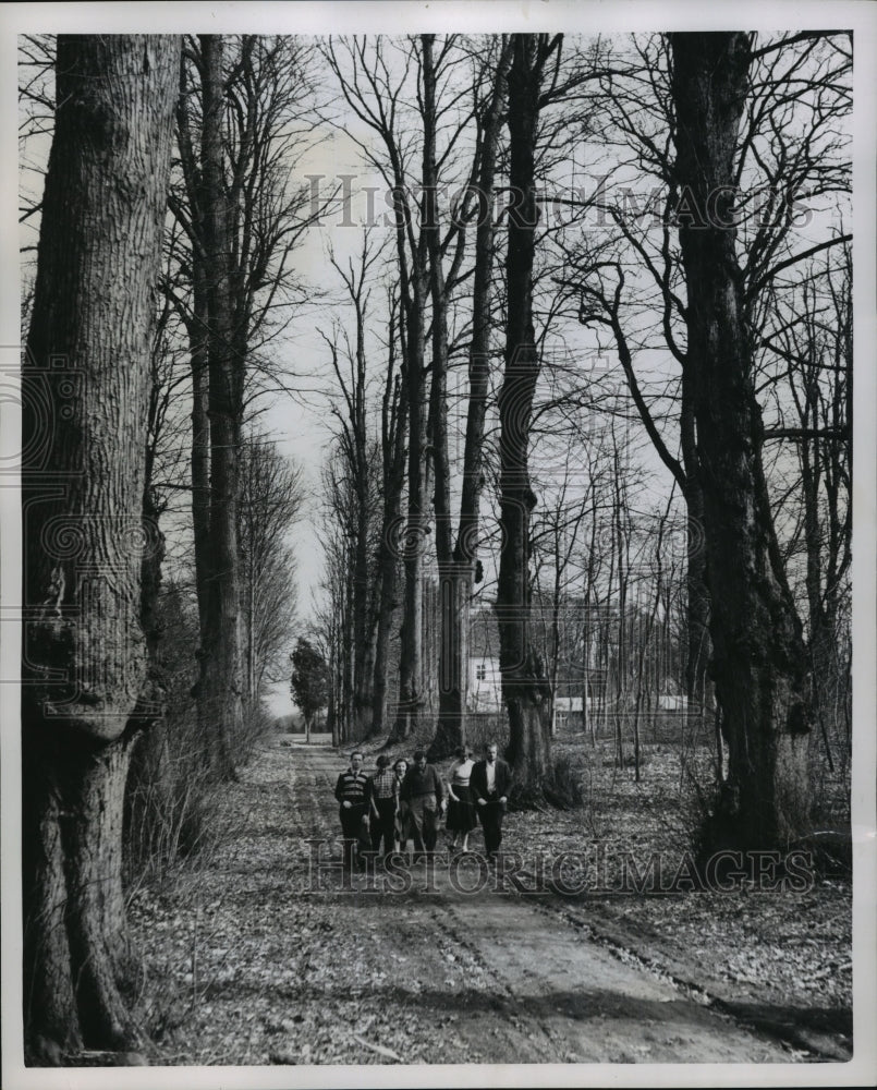 1952 Press Photo Denmark students enjoying a stroll, Krogerup Folk High School