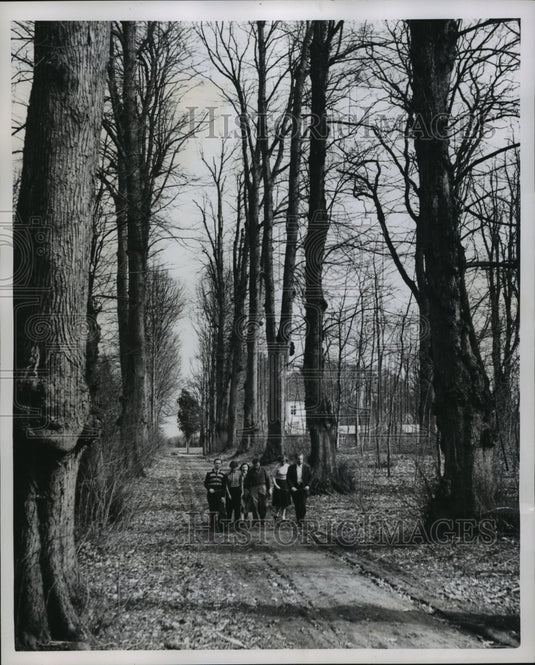 1952 Press Photo Denmark students enjoying a stroll, Krogerup Folk High School