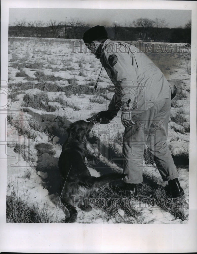 Load image into Gallery viewer, 1963 Press Photo Carl Rady's golden retriever brings back a bird, Wisconsin
