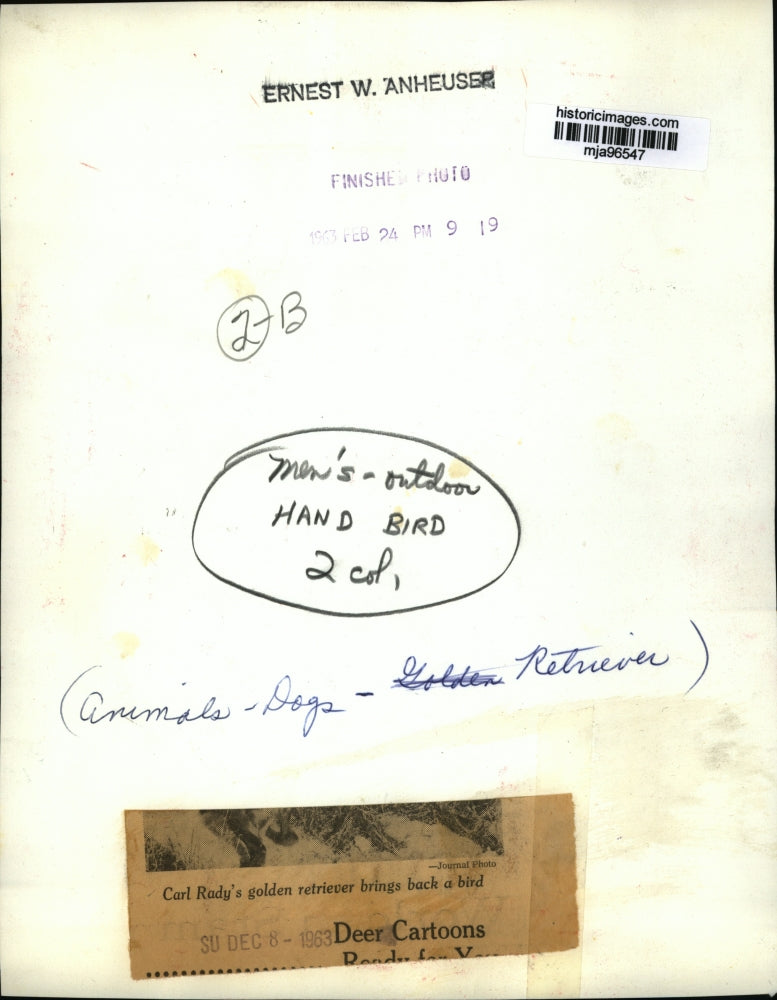 1963 Press Photo Carl Rady's golden retriever brings back a bird, Wisconsin