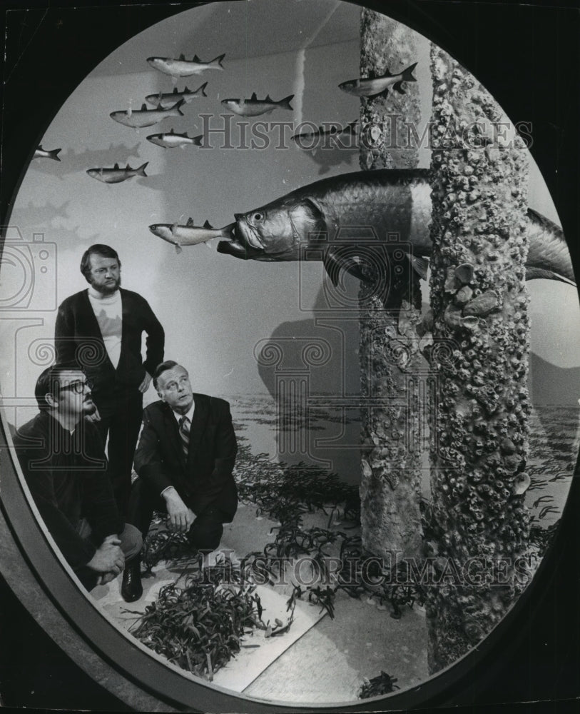 1971 Press Photo Milwaukee museum staff members watch ocean exhibit - mja96688