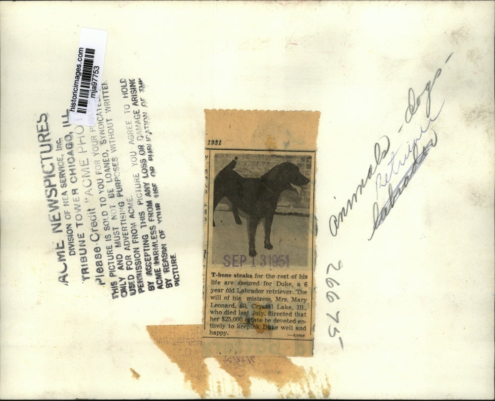 1951 Press Photo Duke, given an inheritance by his mistress Mrs. Mary Leonard