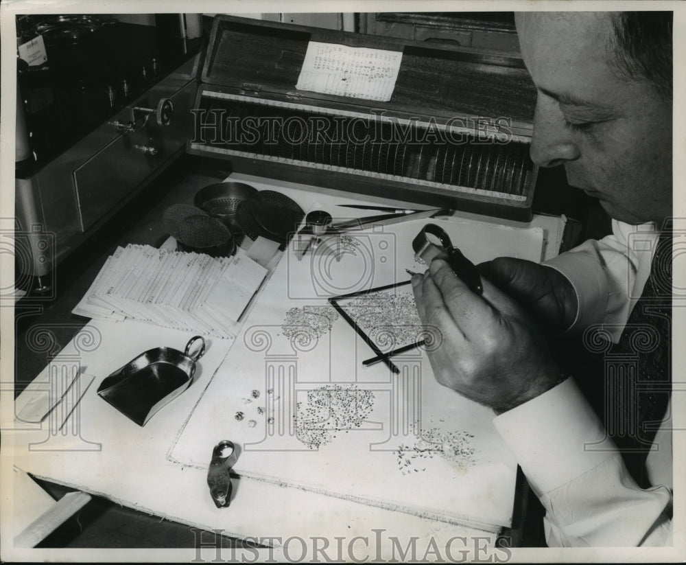 1952 Press Photo Chief diamond grader sorts small diamonds for wedding rings.- Historic Images