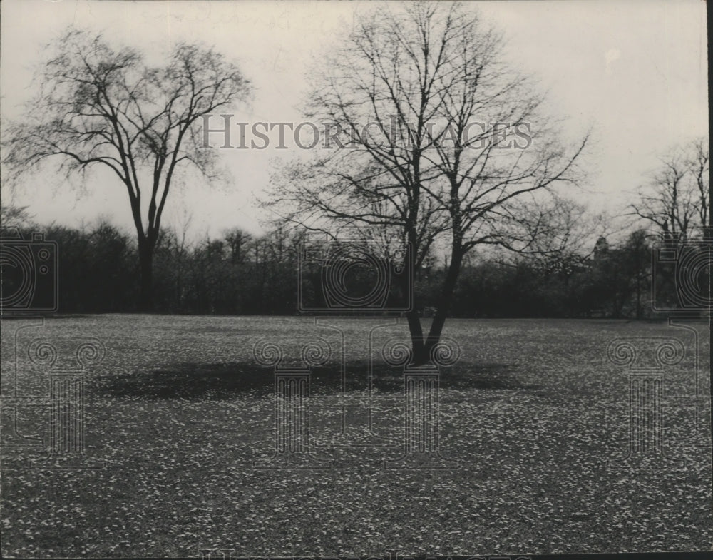 1948 Press Photo Estabrook Park in Milwaukee - mja99388