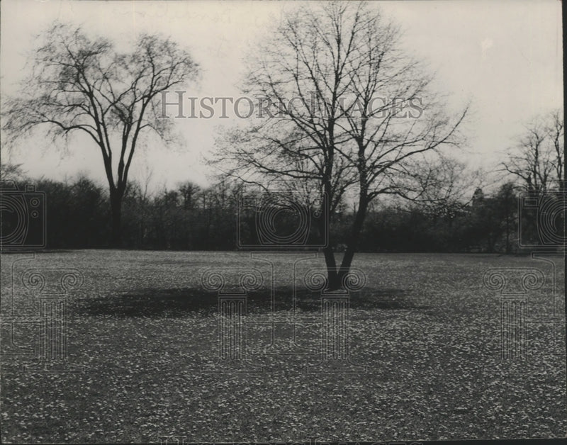 Load image into Gallery viewer, 1948 Press Photo Estabrook Park in Milwaukee - mja99388
