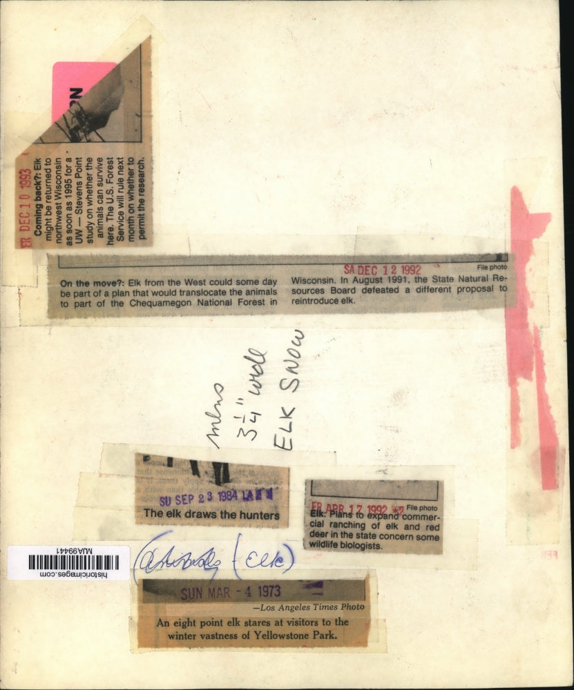 1973 Press Photo Eight-Point Elk in Yellowstone National Park - mja99441