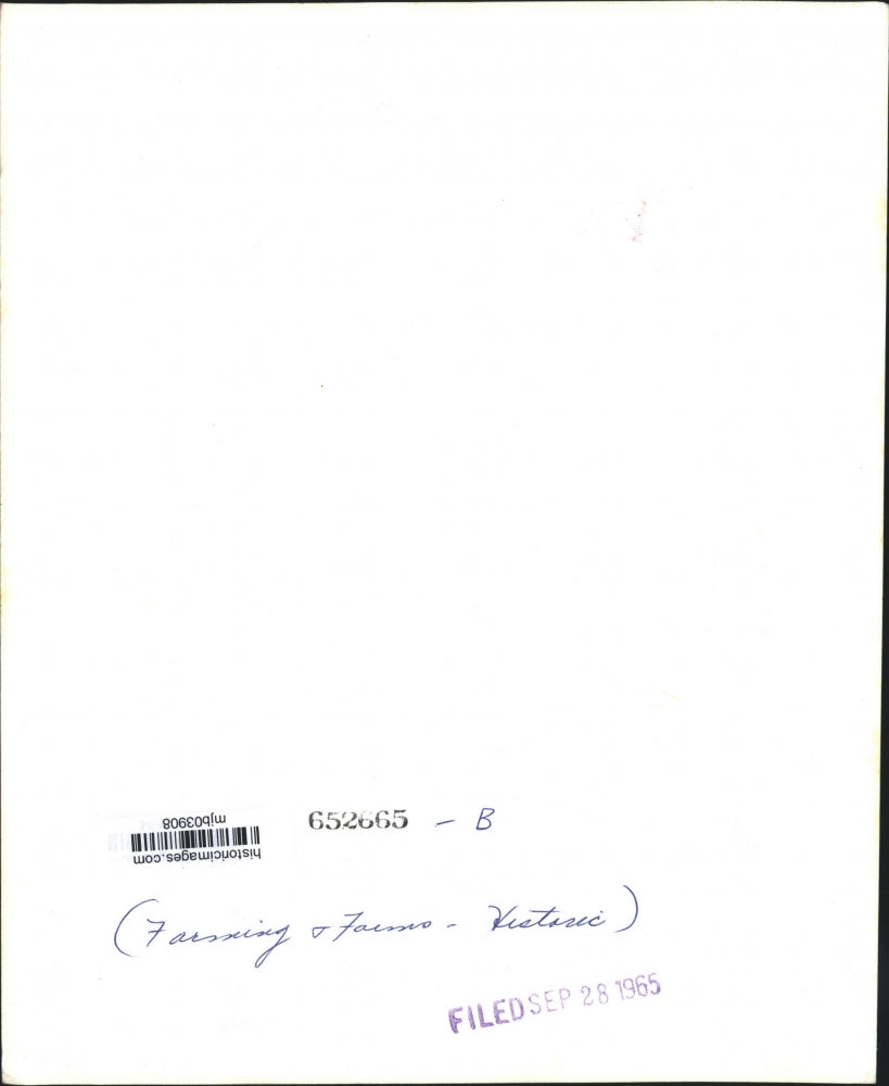 1965 Press Photo Historic, Hay Fields and workers, Farming & Farms - mjb03908